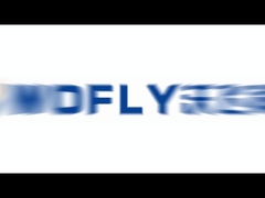 مرشح من الفولاذ المقاوم للصدأ نسائي من النوع T من أجل بخار غاز المياه